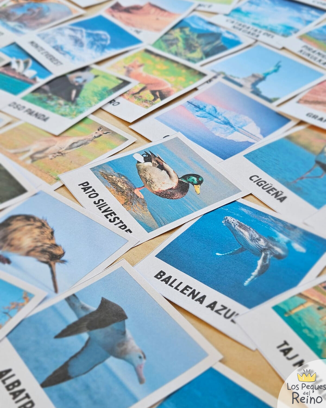 NUEVO PACK "Viaje misionero por el mundo"
