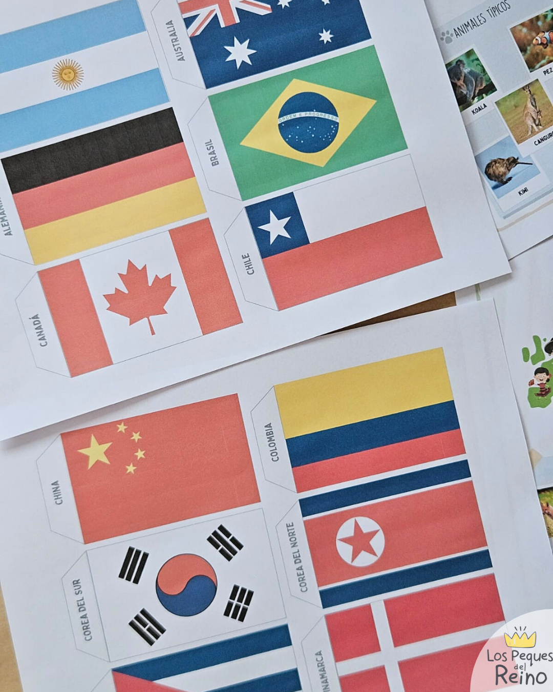 NUEVO PACK "Viaje misionero por el mundo"