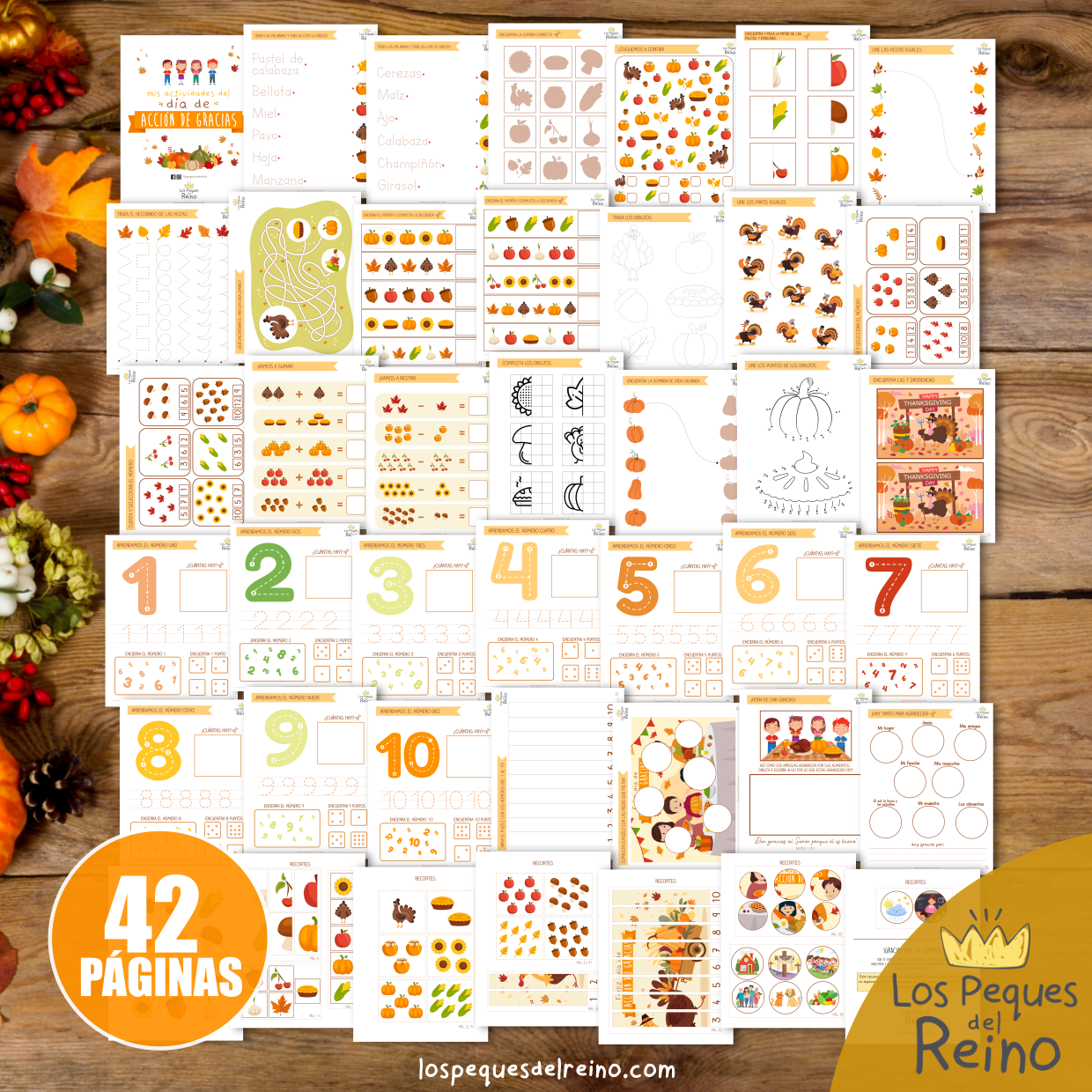 Pack actividades Acción de Gracias + 20 coloreables