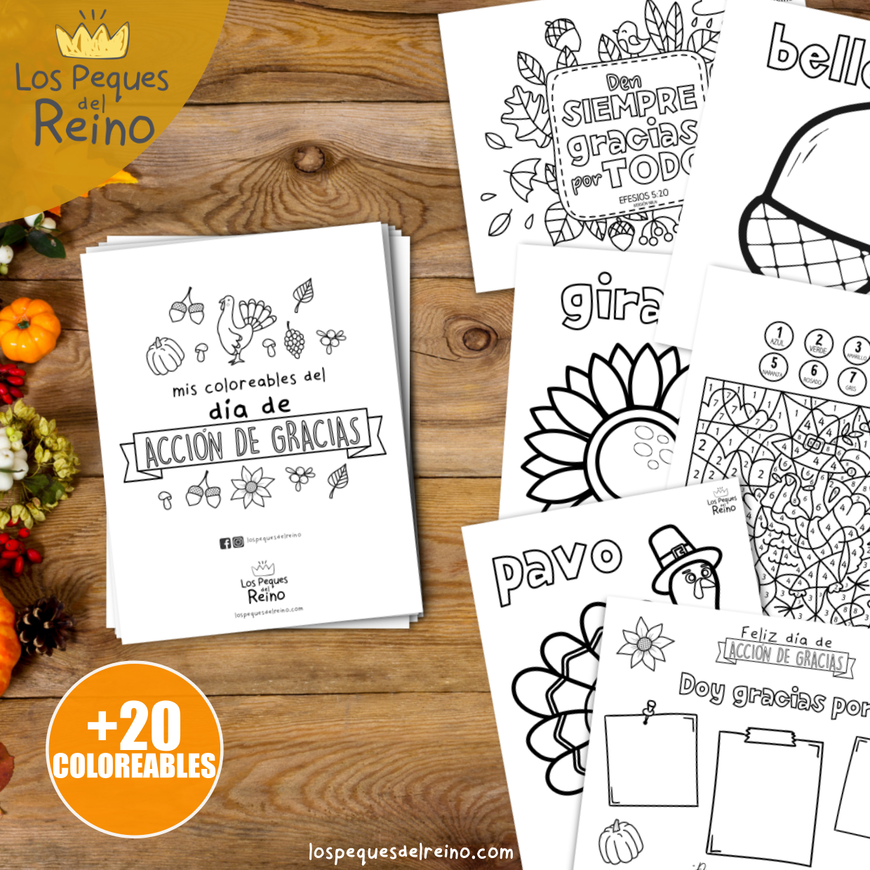 Pack actividades Acción de Gracias + 20 coloreables
