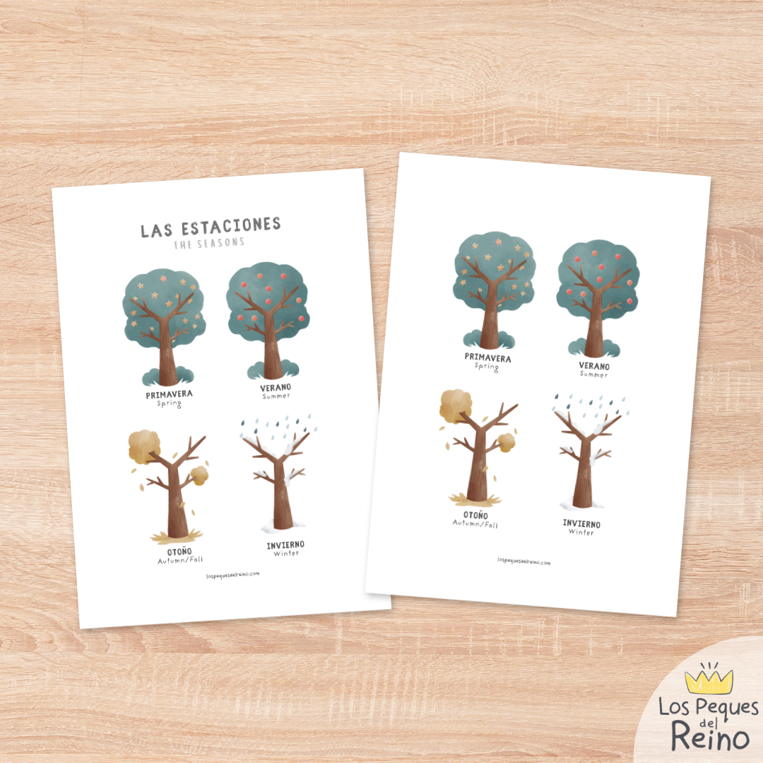 Póster educativo - Las Estaciones - bilingüe (Inglés/Español)