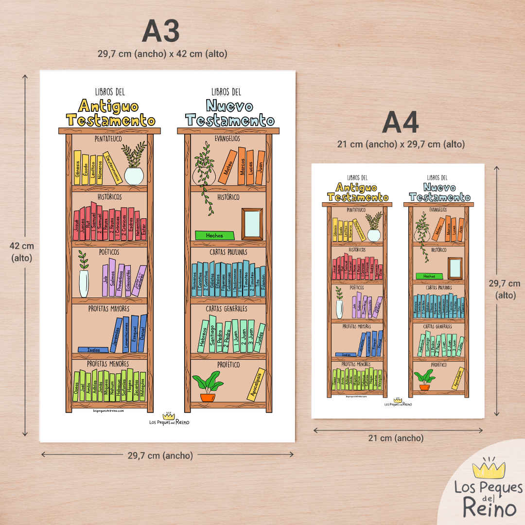 Póster decorativo - Libros de la Biblia - Biblioteca