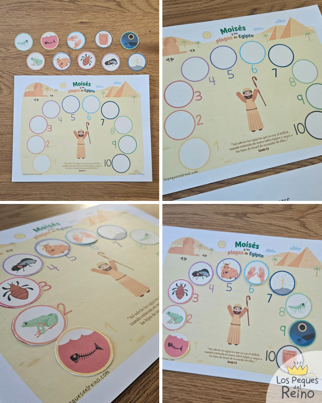 🌟Ayudas visuales para clase - MOISÉS y las PLAGAS DE EGIPTO🩸