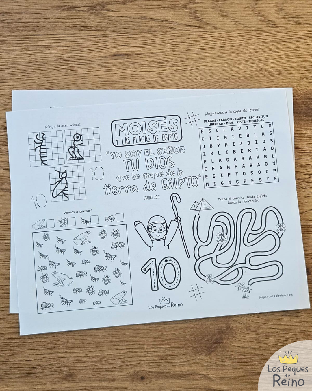 🌟Ayudas visuales para clase - MOISÉS y las PLAGAS DE EGIPTO🩸
